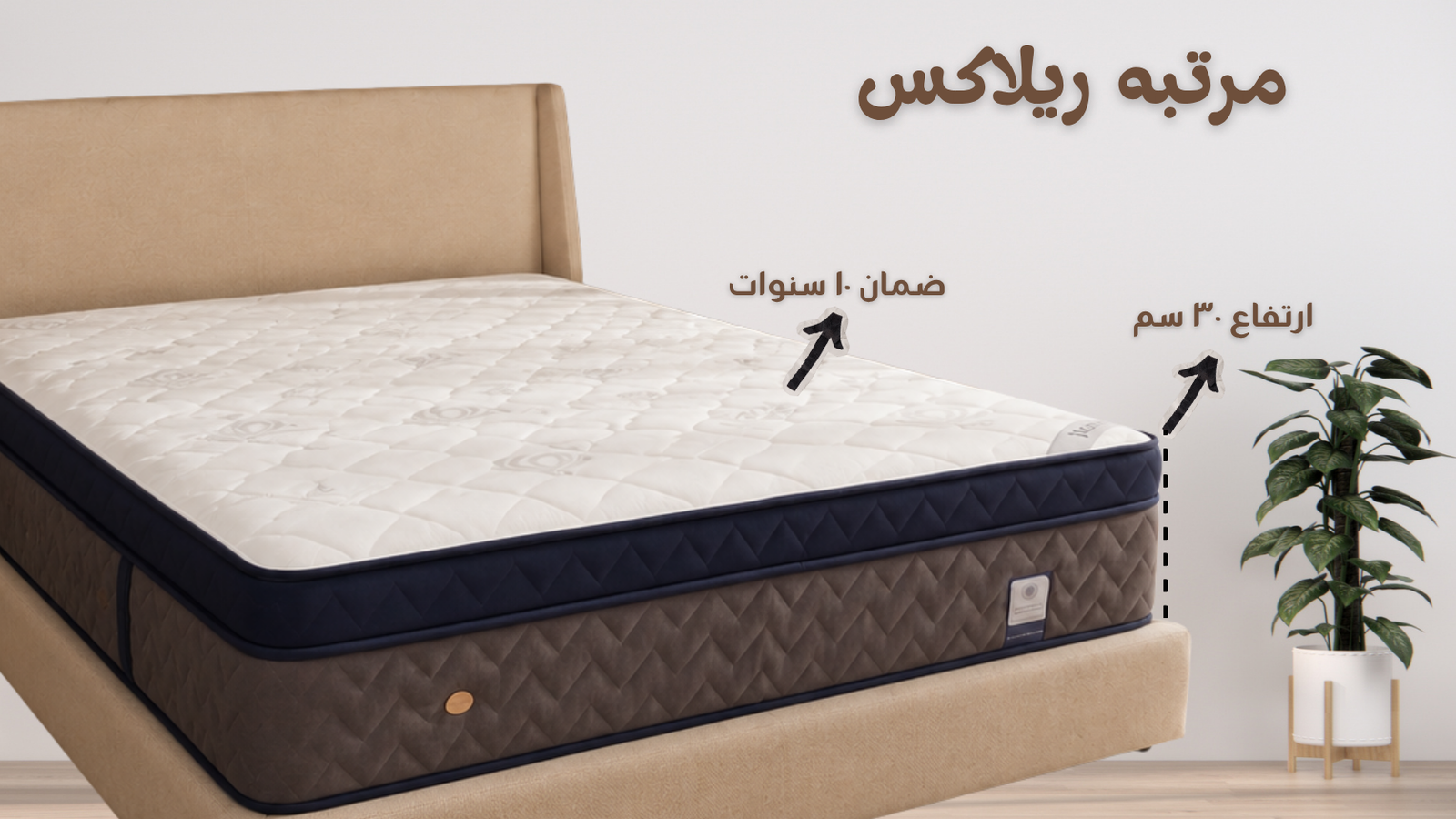 Dr.Mattress